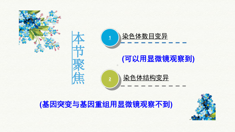 [人教版]《染色体变异》课件1.ppt_第3页