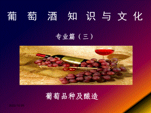 4葡萄酒基本知识(品种及酿造)课件.ppt