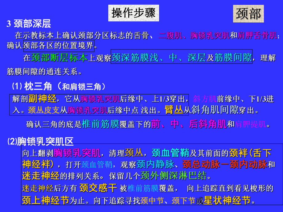 13局解操作-头颈部课件.ppt_第2页