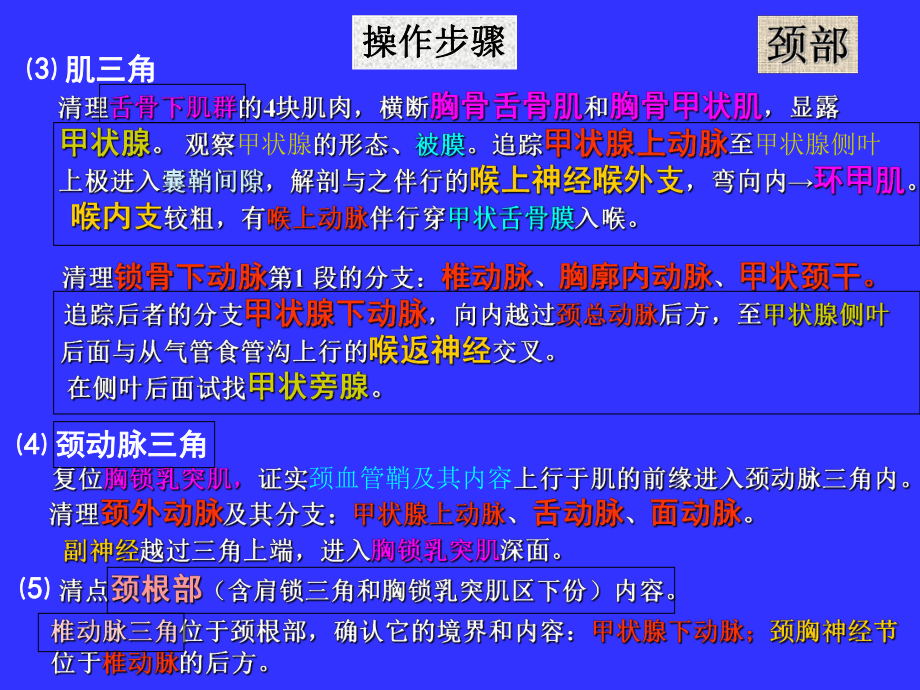 13局解操作-头颈部课件.ppt_第3页