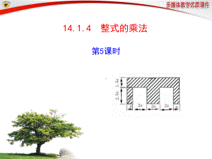 1414-整式的乘法-第5课时课件.ppt