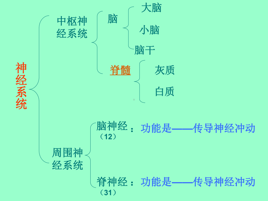 2020苏教版生物七年级下册122《人体的神经调节》课件3.ppt_第2页