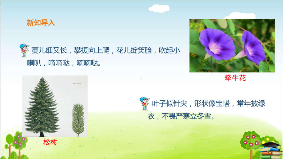 《写作-我的植物朋友》课件.ppt_第3页