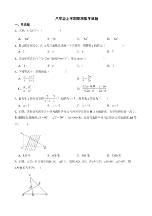 广东省汕头市澄海区2022年八年级上学期期末数学试题及答案.docx