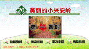 20美丽的小兴安岭课件.ppt