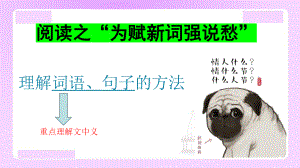 1理解词语的方法：词句含义课件.ppt