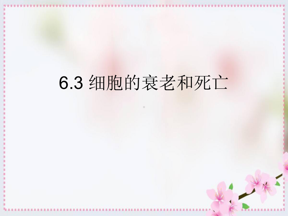 63-细胞的衰老和凋亡-教学课件（新教材）人教版高中生物必修一.ppt_第1页