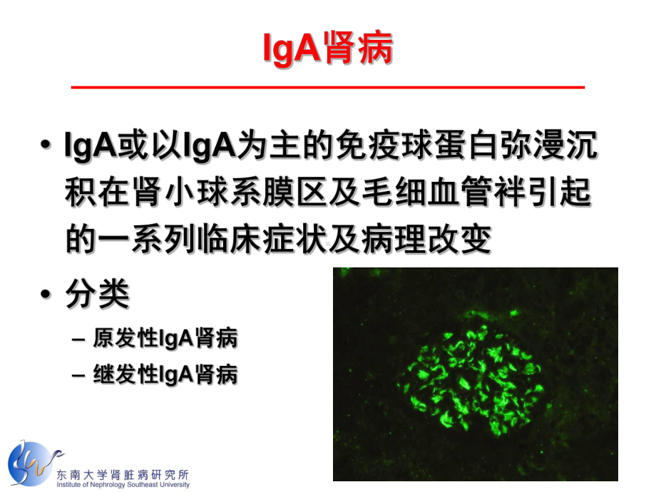 1KDIGO指南解读—IgAN-课件.ppt_第3页