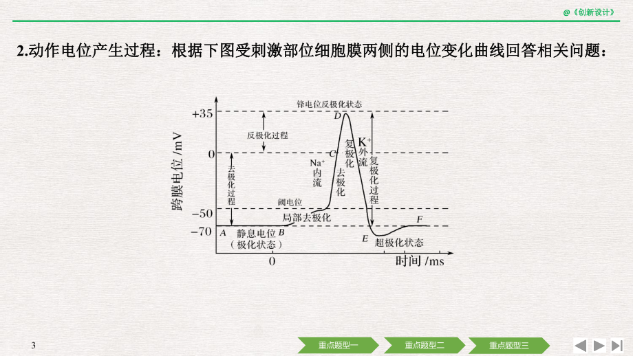 2020高考生物-考点加强课4-神经调节课件.pptx_第3页