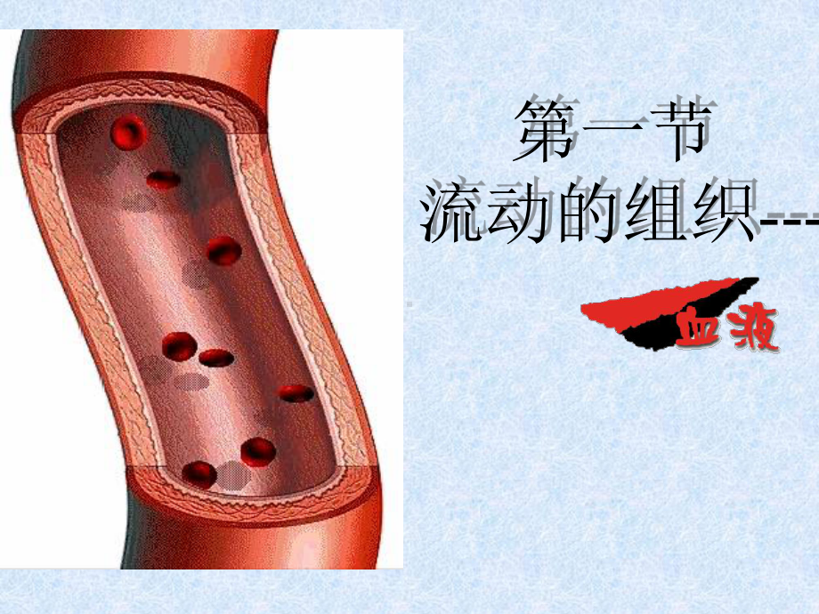 RWY41流动的组织—血液课件4.ppt_第3页