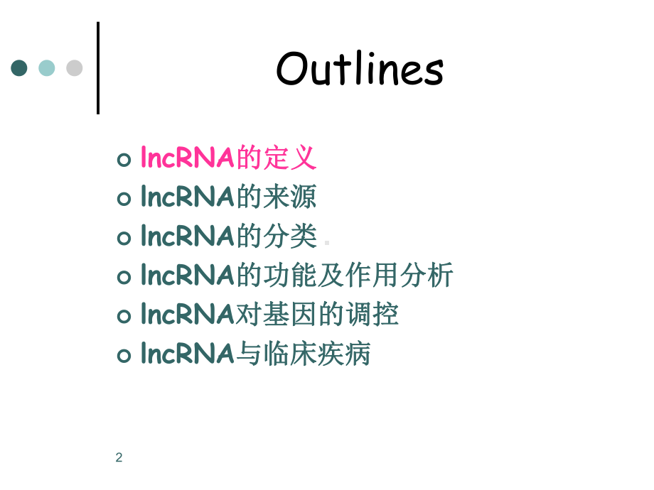 lncRNA(完成版)参考课件.ppt_第2页