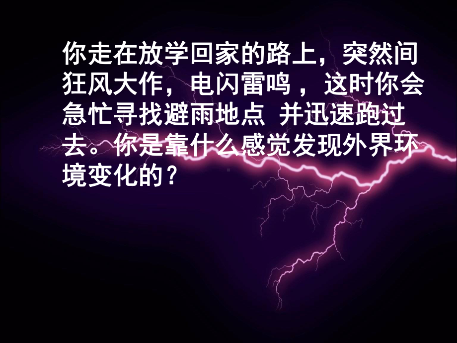 (公开课)人体对外界环境的感知课件.ppt_第1页