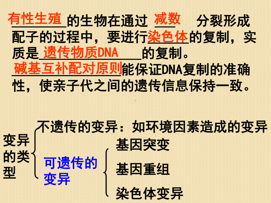 《基因突变和基因重组》教育课件.ppt_第1页