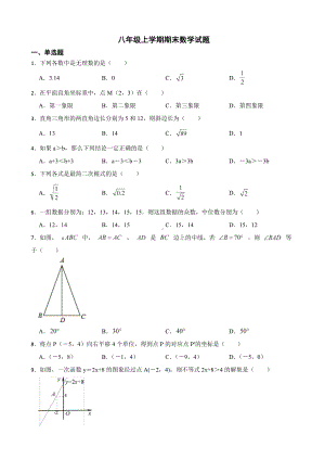 山东省济南市槐荫区2022年八年级上学期期末数学试题（附答案）.pdf