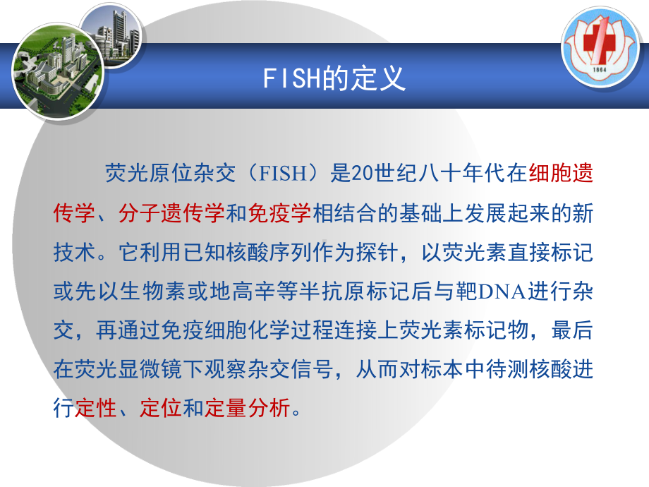 FISH技术在血液肿瘤中的应用课件.ppt_第2页