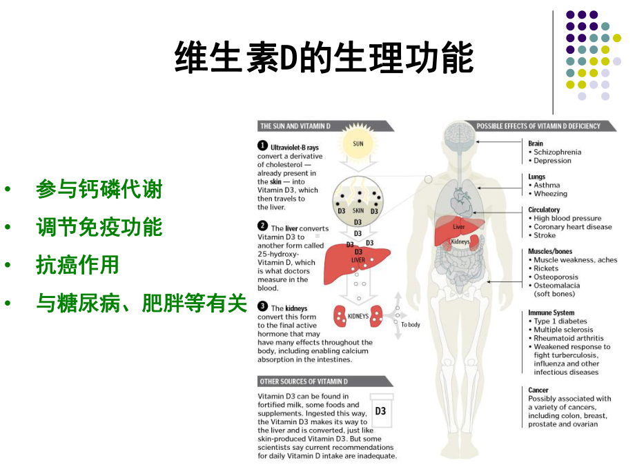 (儿童保健学)VitD的营养课件.ppt_第3页