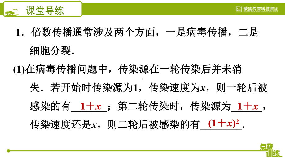 2131-建立一元二次方程模型解应用问题课件.pptx_第3页