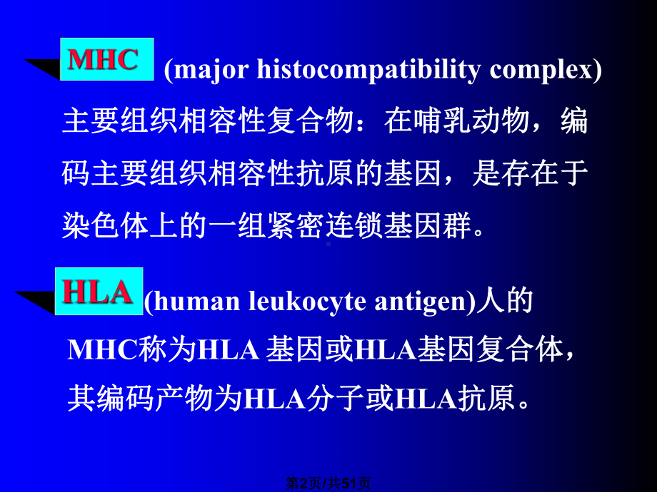 7-主要组织相容性复合体课件.pptx_第2页