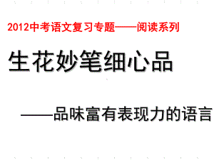 《品味富有表现力的语言》课件.ppt