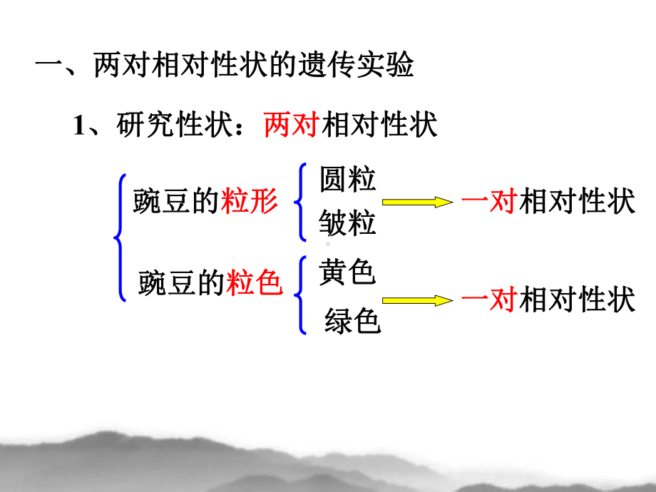 3孟德尔的豌豆杂交实验(二1)课件.ppt_第3页