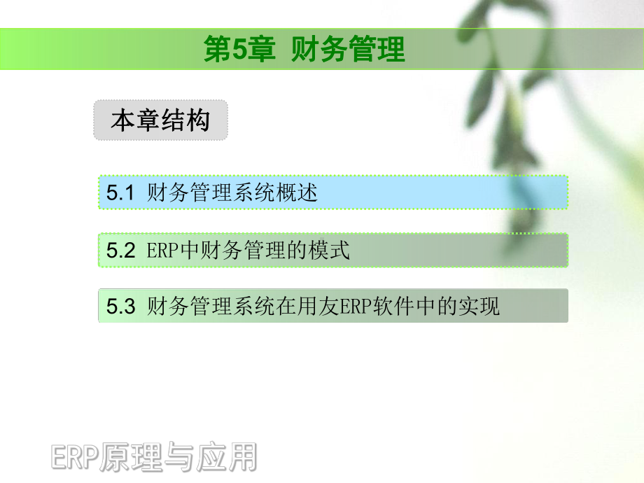 《ERP财务管理》教学课件.ppt_第2页