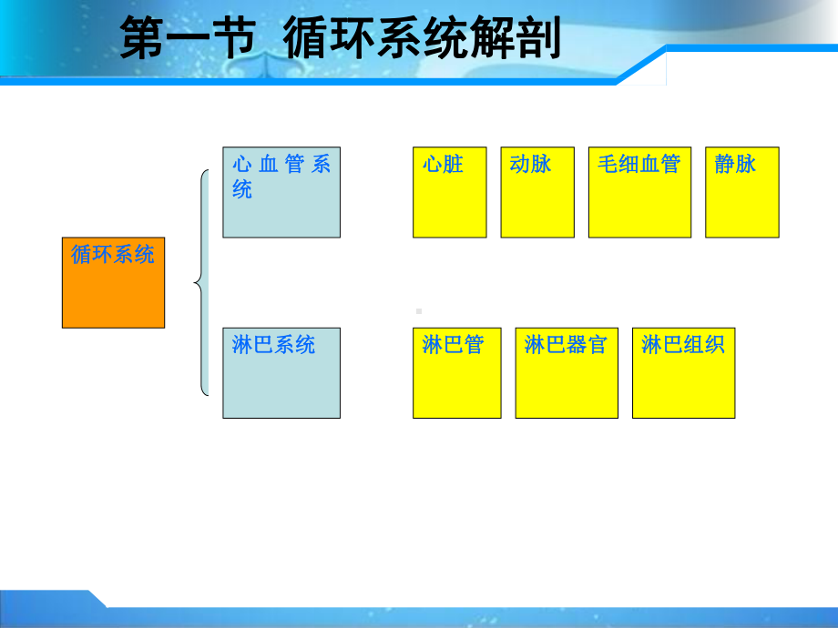 [临床医学]医学基础-第五章-循环系统解剖、生理功能及常见疾病课件.ppt_第2页