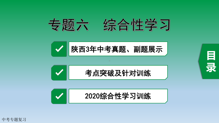 2020中考语文复习专题六-综合性学习课件.pptx_第2页