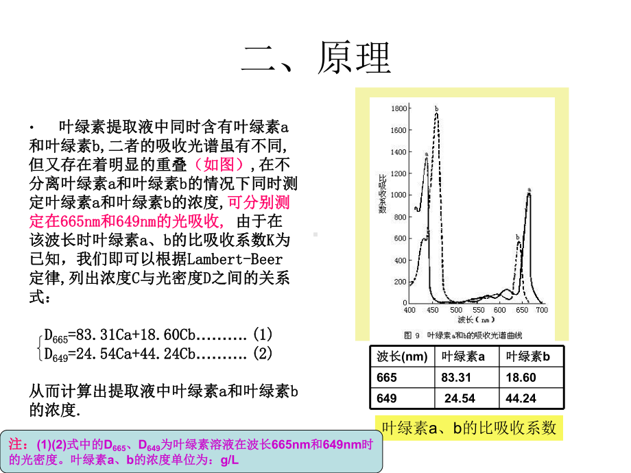 实验三叶绿素含量的测定等课件.pptx_第3页