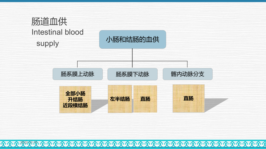 缺血性肠病课件.pptx_第3页