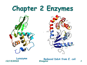 生物反应工程：chap2enzyme-课件.ppt