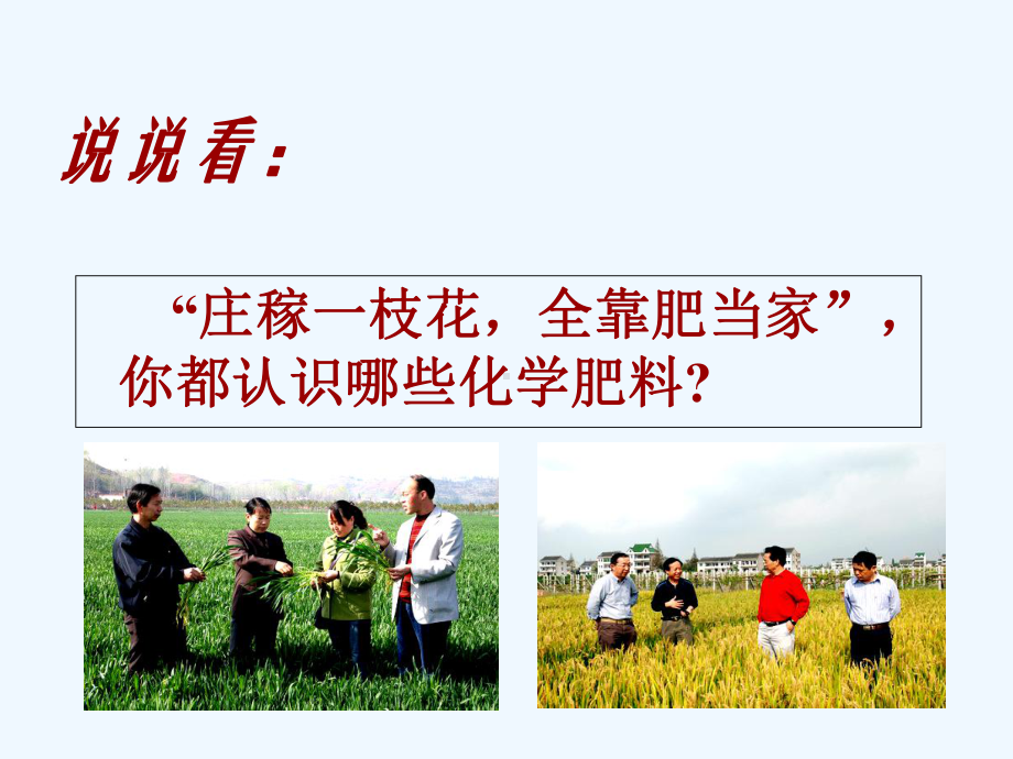 第十一章课题化学肥料课件.ppt_第3页