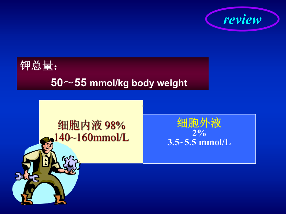 第二章第三节-钾离子代谢紊乱教学课件.ppt_第3页