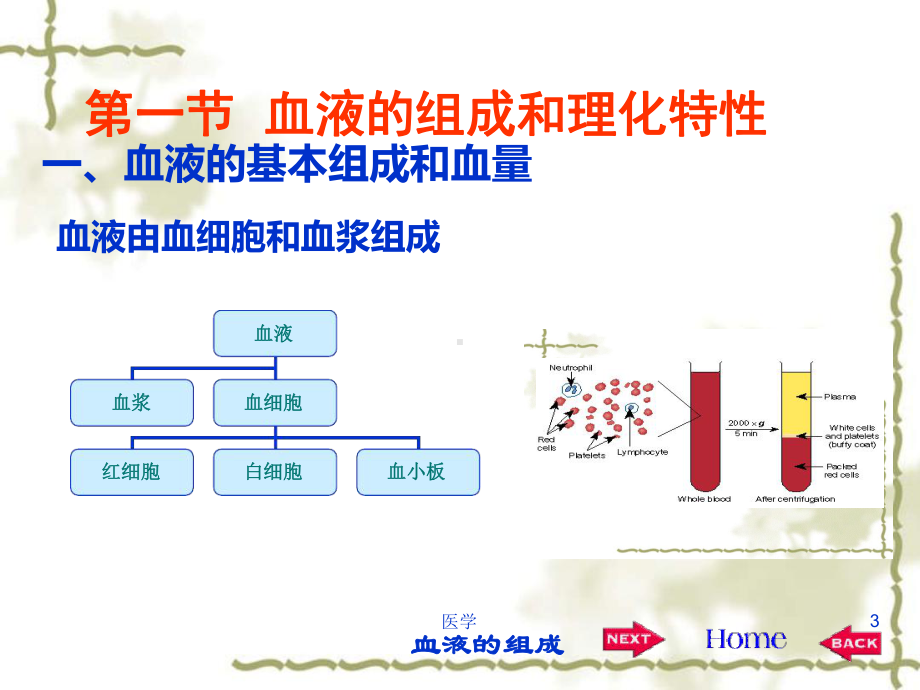 生理学血液课件.ppt_第3页