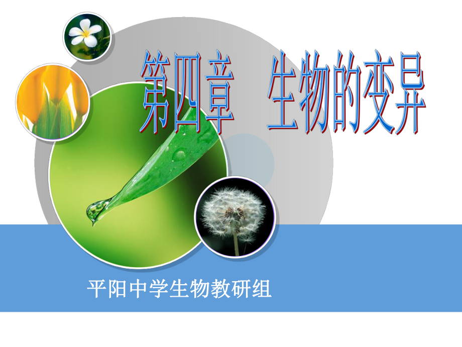 平阳中学生物教研组课件.ppt_第1页