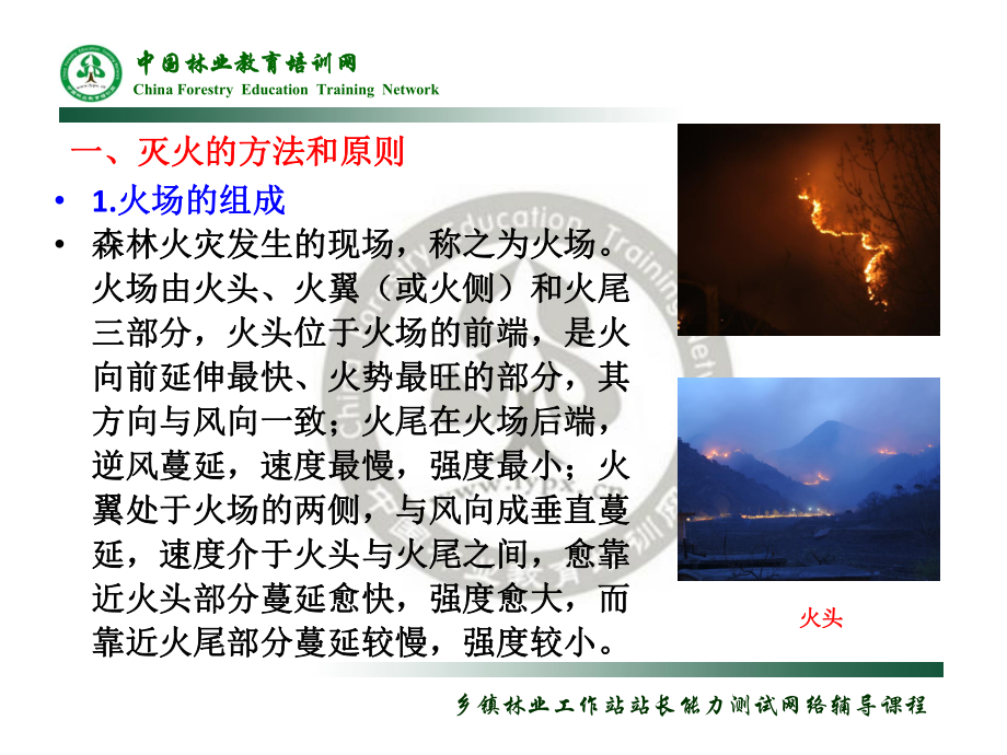 扑救森林火灾课件.ppt_第3页