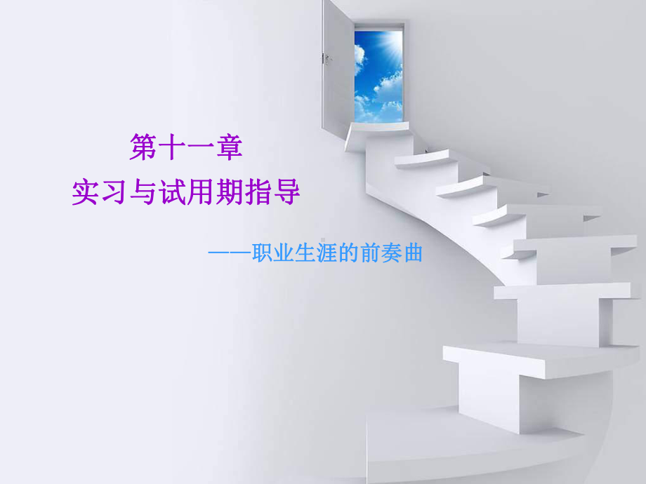 第十一章实习与试用期指导课件.ppt_第1页