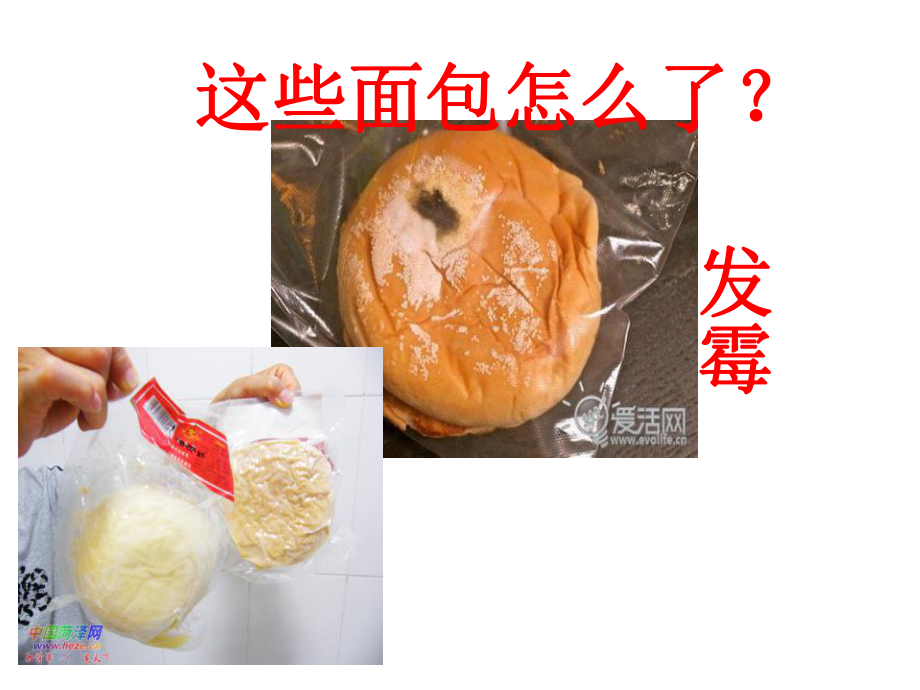 幼儿园及小学生食品安全宣传教育主题班会课件.ppt_第3页