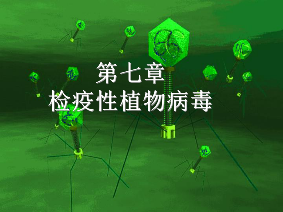 植物检疫性病毒病害课件.ppt_第1页