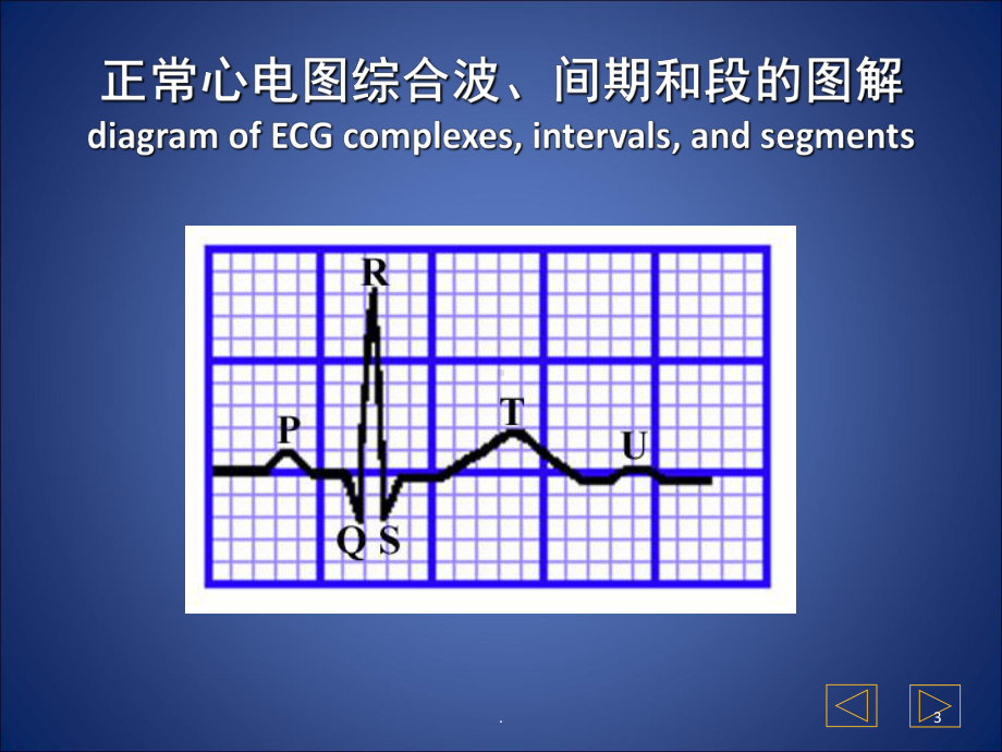 常规心电图解读医学课件.pptx_第3页