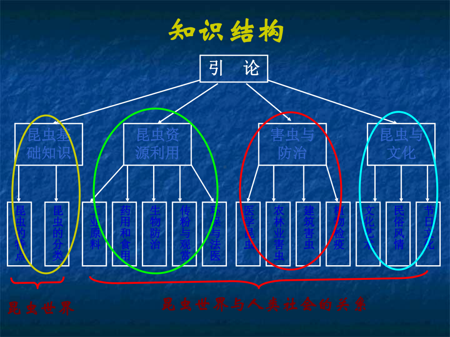 最新01昆虫世界与人类社会课件.ppt_第2页