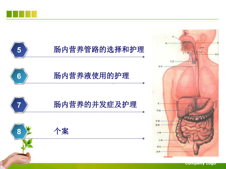 肠内营养的护理课件讲义02.ppt_第3页