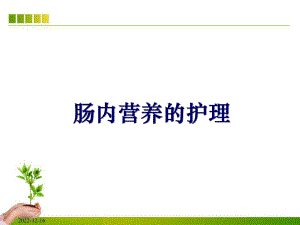 肠内营养的护理课件讲义02.ppt