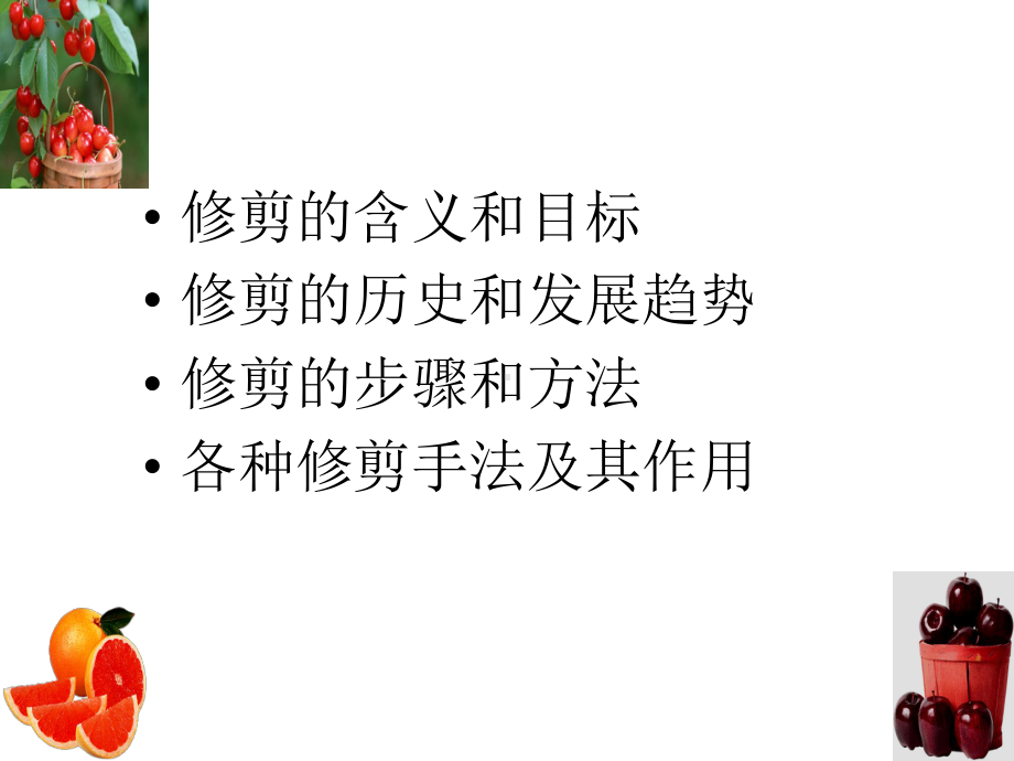 果树修剪调节生理-实习课件整理.ppt_第1页