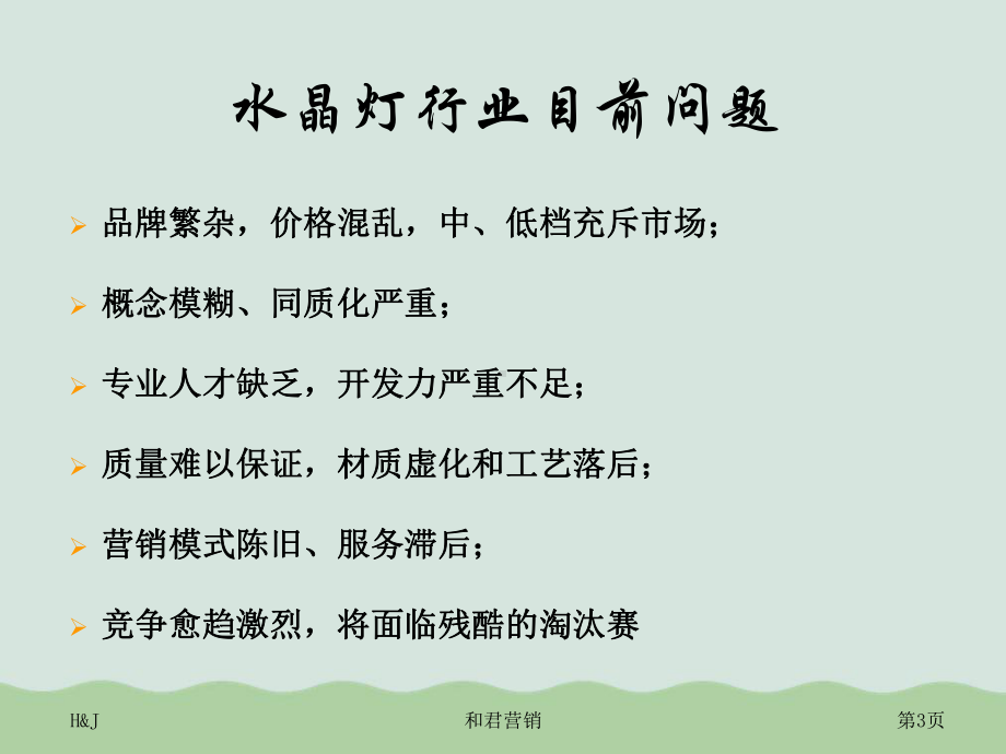 照明零售商经营提升方案课件.ppt_第3页