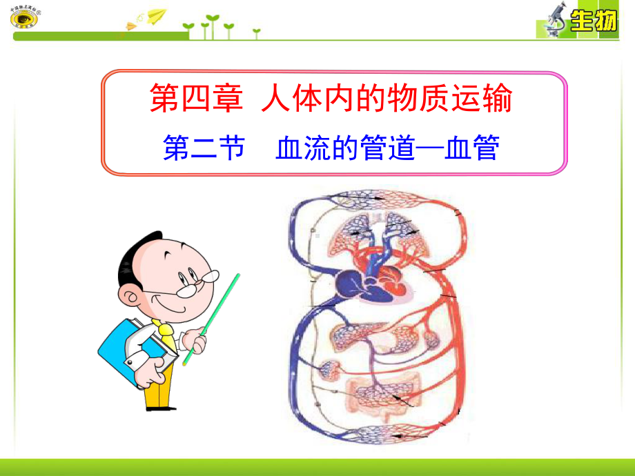 第二节血流的管道—血管选编课件.ppt_第2页