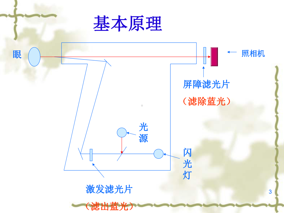 眼底荧光血管造影术(FFA)总论参考课件.ppt_第3页