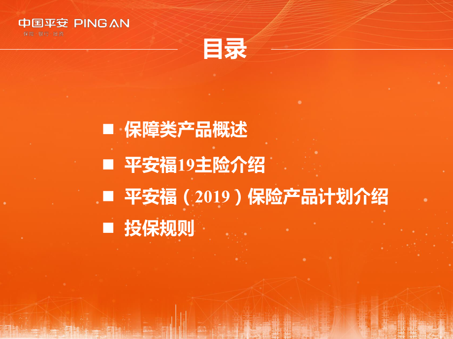 某公司保险产品计划介绍课件.ppt_第2页