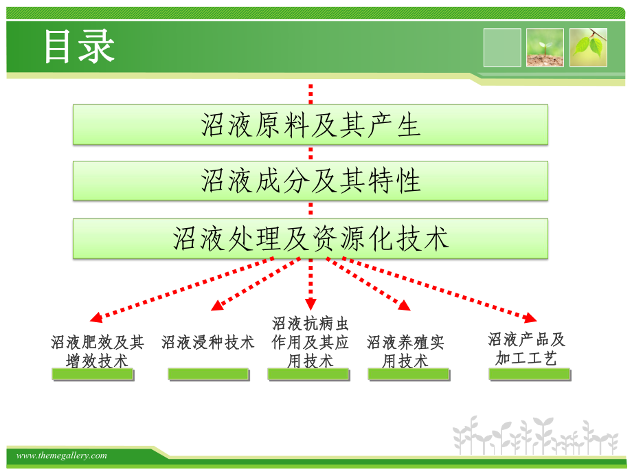 沼液处理及资源化技术讲解课件.ppt_第3页