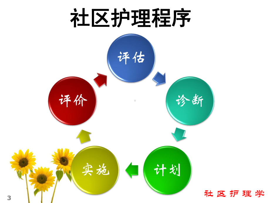 第二章以社区为中心护理课件.ppt_第3页