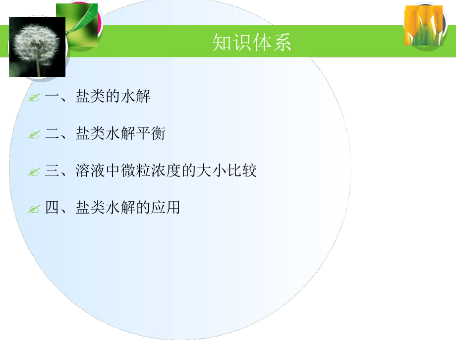 盐类的水解新课课件.ppt_第2页